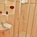 מלון Witikohof